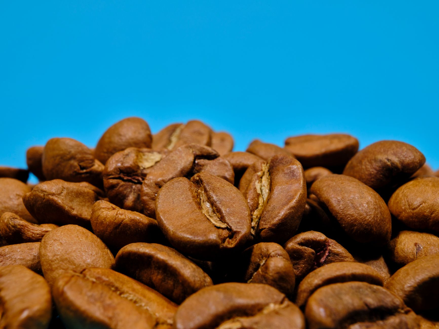 Le palmarès 2026 des meilleurs cafés du monde : Geisha, Blue Mountain, kopi luwak et les autres — grains de café Geisha Blue Mountain