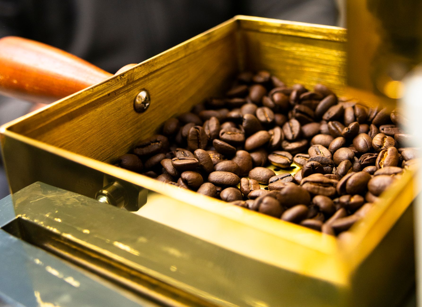 Classement 2026 du café le plus cher du monde et panorama des cafés exclusifs — grains de café de luxe gros plan