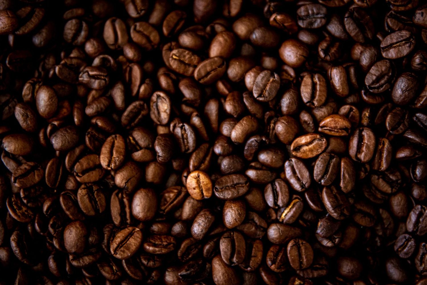 Quel est le café le plus cher du monde ? Le top 5 et leurs origines insolites