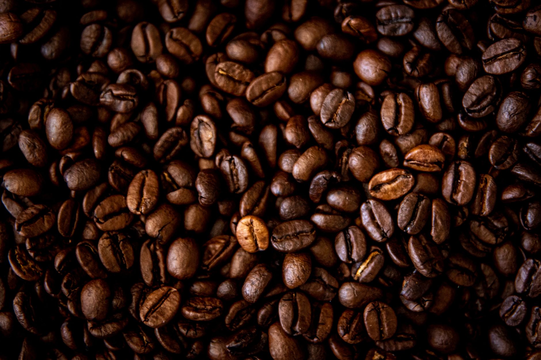 Quel est le café le — grains de café de luxe gros plan
